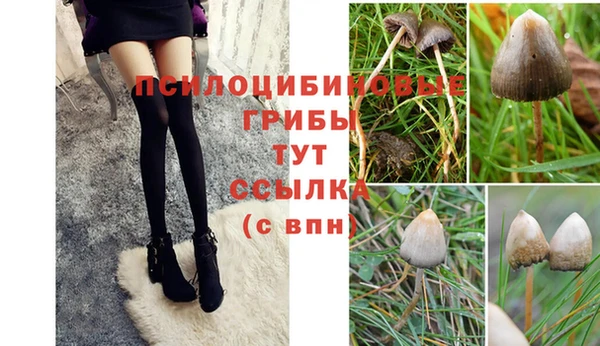 не бодяженный Беломорск