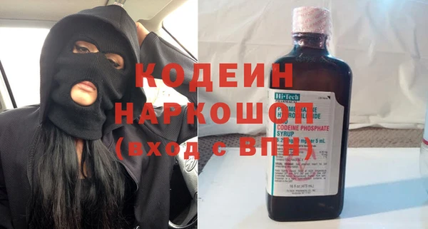 хмурый Белокуриха