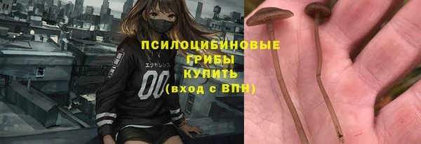 хмурый Белокуриха