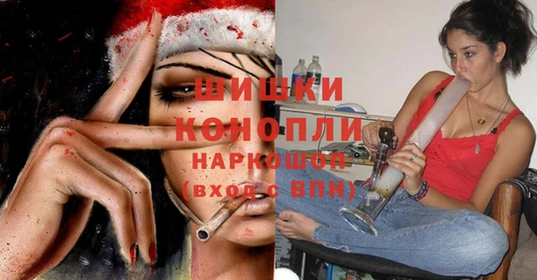 хмурый Белокуриха