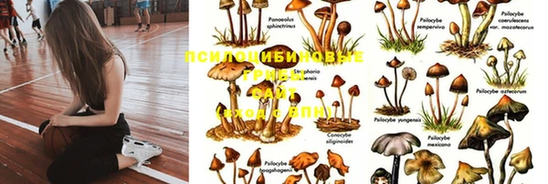 не бодяженный Беломорск