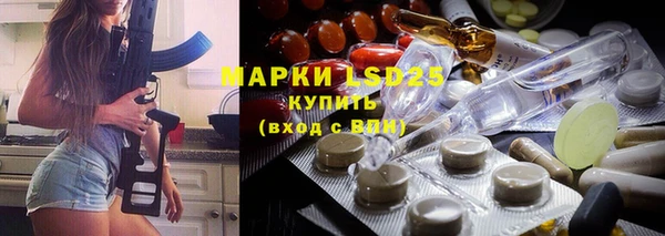 хмурый Белокуриха