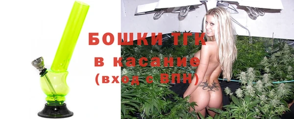 хмурый Белокуриха
