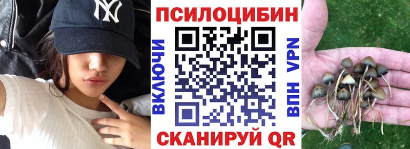 Галлюциногенные грибы мухоморы  kraken ONION  Новоалександровск 